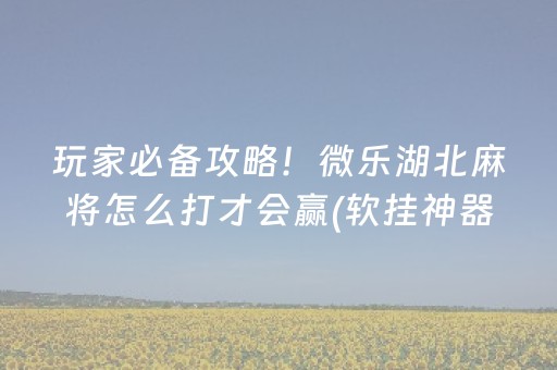 玩家必备攻略！微乐湖北麻将怎么打才会赢(软挂神器)