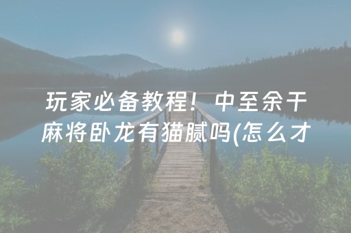 玩家必备教程！中至余干麻将卧龙有猫腻吗(怎么才能调胜率)