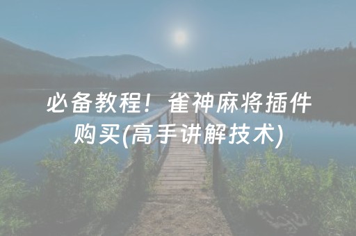 必备教程！雀神麻将插件购买(高手讲解技术)