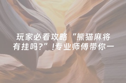 玩家必看攻略“熊猫麻将有挂吗?”!专业师傅带你一起了解（详细教程）-知乎