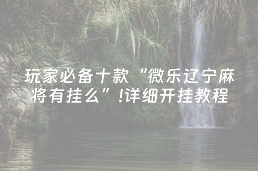 玩家必备十款“微乐辽宁麻将有挂么”!详细开挂教程-知乎