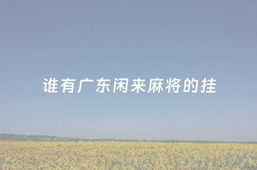 谁有广东闲来麻将的挂（广东闲来麻将有挂）