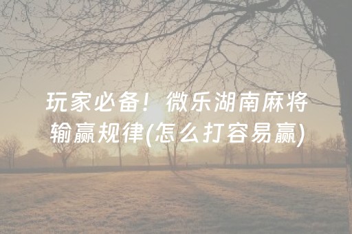 玩家必备！微乐湖南麻将输赢规律(怎么打容易赢)