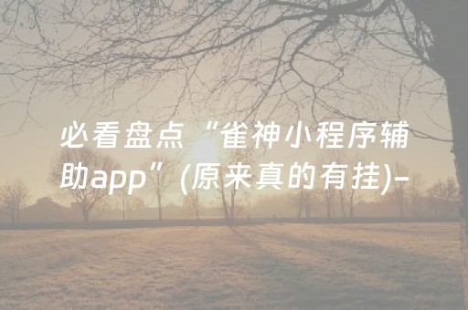 必看盘点“雀神小程序辅助app”(原来真的有挂)-知乎