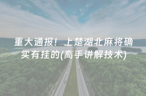 重大通报！上楚湖北麻将确实有挂的(高手讲解技术)