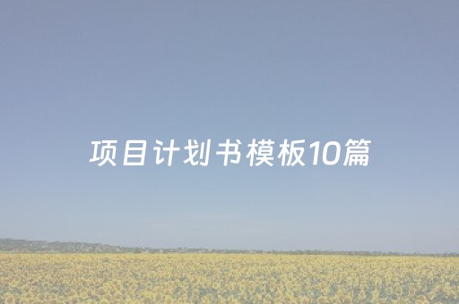 项目计划书模板10篇（项目计划书完整版）