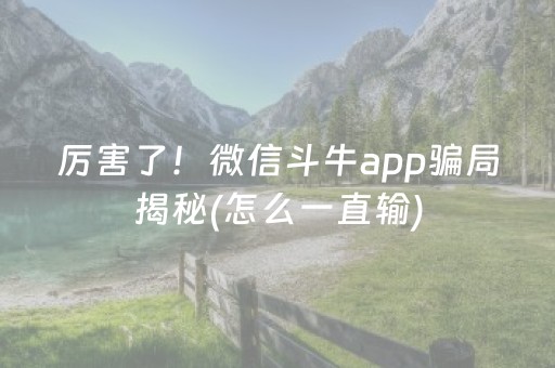 厉害了！微信斗牛app骗局揭秘(怎么一直输)