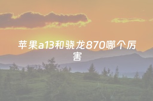 苹果a13和骁龙870哪个厉害（a13跟骁龙870哪个好）