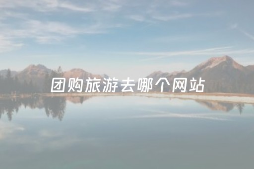 团购旅游去哪个网站（旅游团购在哪里订票）