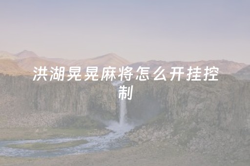 洪湖晃晃麻将怎么开挂控制（洪湖麻将怎么打）