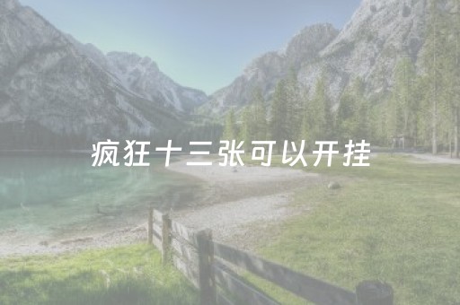 疯狂十三张可以开挂（十三张可以开挂吗）