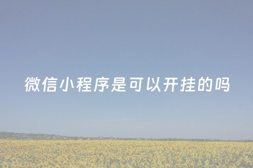 微信小程序是可以开挂的吗（微信小程序游戏可以开挂吗）