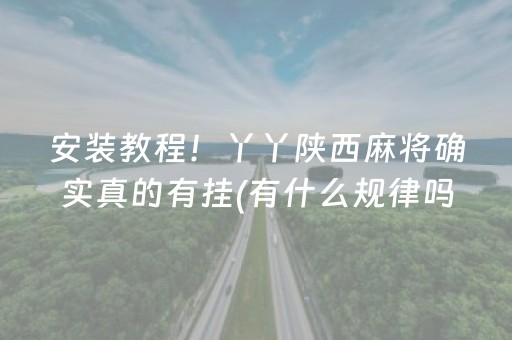 安装教程！丫丫陕西麻将确实真的有挂(有什么规律吗)