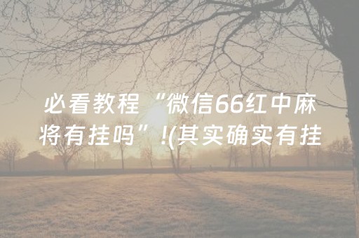 必看教程“微信66红中麻将有挂吗”!(其实确实有挂)-知乎