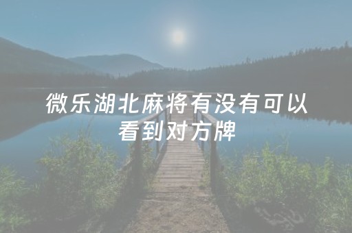 微乐湖北麻将有没有可以看到对方牌（微乐湖北麻将有挂吗）