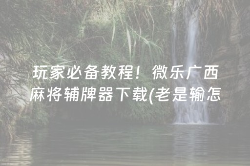 玩家必备教程！微乐广西麻将辅牌器下载(老是输怎么办)