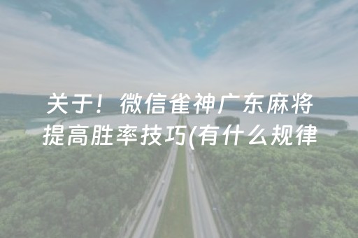 关于！微信雀神广东麻将提高胜率技巧(有什么规律)