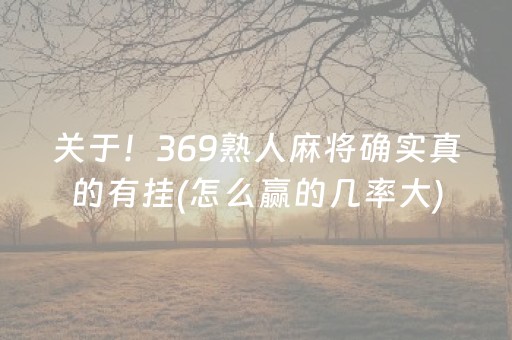 关于！369熟人麻将确实真的有挂(怎么赢的几率大)