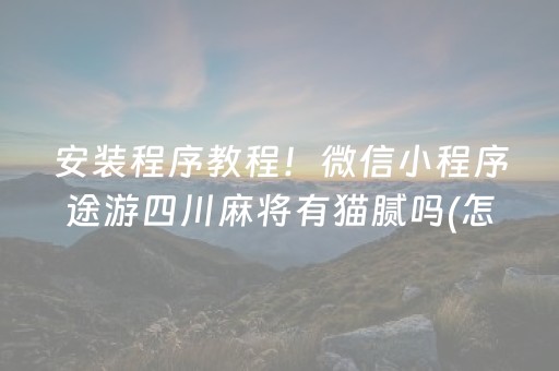 安装程序教程！微信小程序途游四川麻将有猫腻吗(怎么总输有什么猫腻)