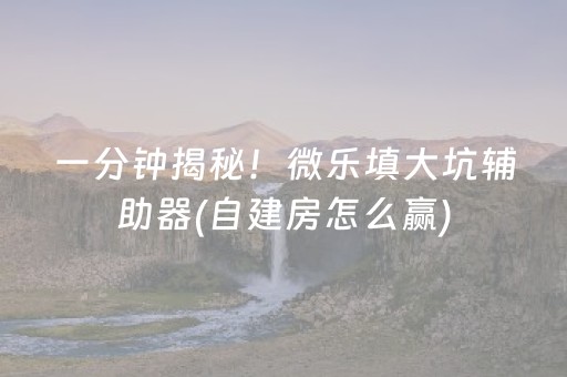 一分钟揭秘！微乐填大坑辅助器(自建房怎么赢)