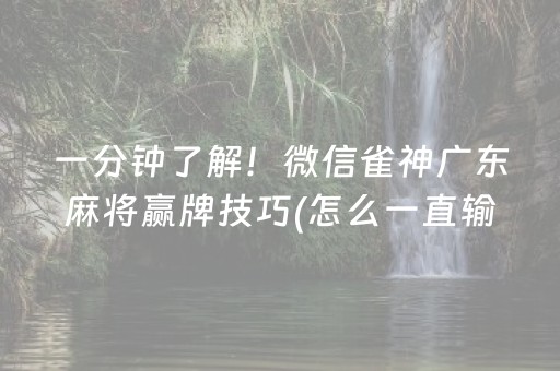 一分钟了解！微信雀神广东麻将赢牌技巧(怎么一直输)