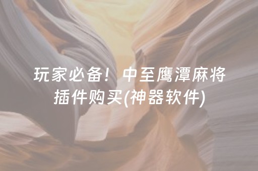 玩家必备！中至鹰潭麻将插件购买(神器软件)