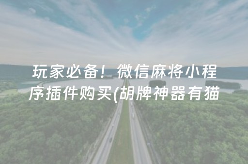 玩家必备！微信麻将小程序插件购买(胡牌神器有猫腻吗)