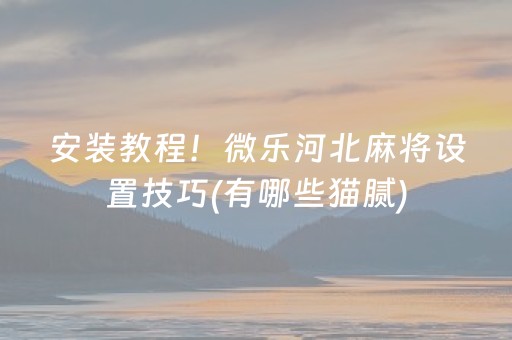 安装教程！微乐河北麻将设置技巧(有哪些猫腻)