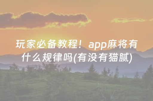 玩家必备教程！app麻将有什么规律吗(有没有猫腻)