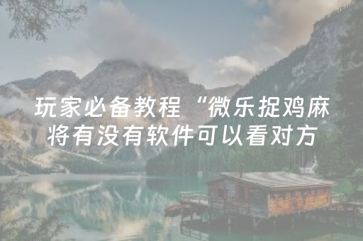 玩家必备教程“微乐捉鸡麻将有没有软件可以看对方牌”！详细开挂教程（确实真的有挂)-知乎