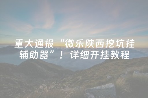 重大通报“微乐陕西挖坑挂辅助器”！详细开挂教程（确实真的有挂)-知乎