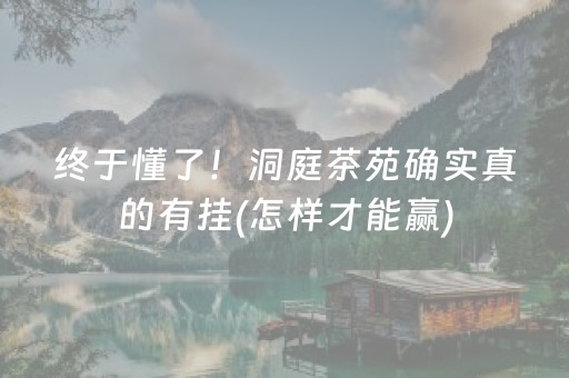 终于懂了！洞庭茶苑确实真的有挂(怎样才能赢)