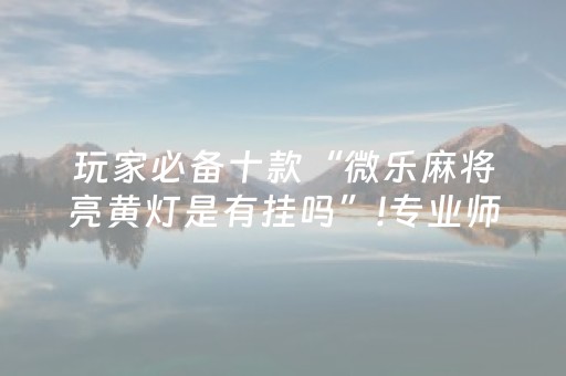 玩家必备十款“微乐麻将亮黄灯是有挂吗”!专业师傅带你一起了解（详细教程）-知乎