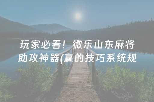 玩家必看！微乐山东麻将助攻神器(赢的技巧系统规律)