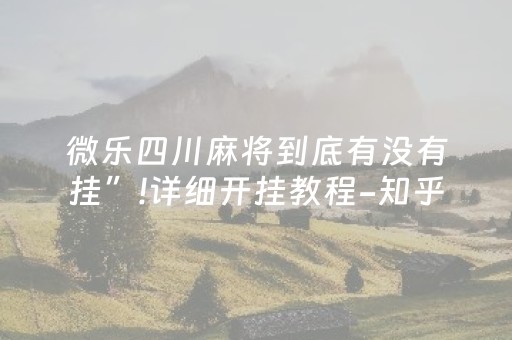 微乐四川麻将到底有没有挂”!详细开挂教程-知乎