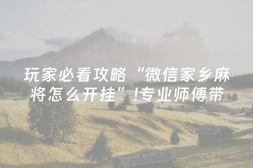 玩家必看攻略“微信家乡麻将怎么开挂”!专业师傅带你一起了解（详细教程）-知乎