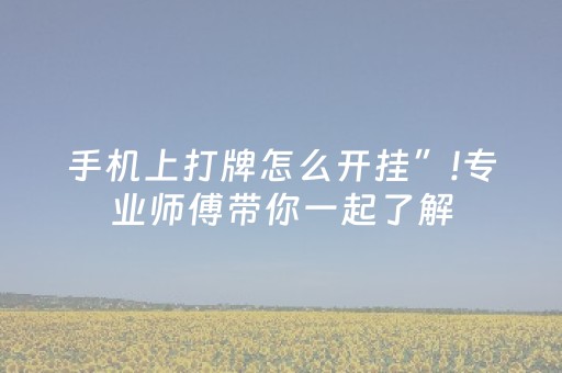 手机上打牌怎么开挂”!专业师傅带你一起了解（详细教程）-知乎