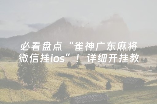 必看盘点“雀神广东麻将微信挂ios”！详细开挂教程（确实真的有挂)-知乎