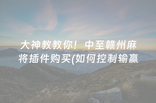 大神教教你！中至赣州麻将插件购买(如何控制输赢)