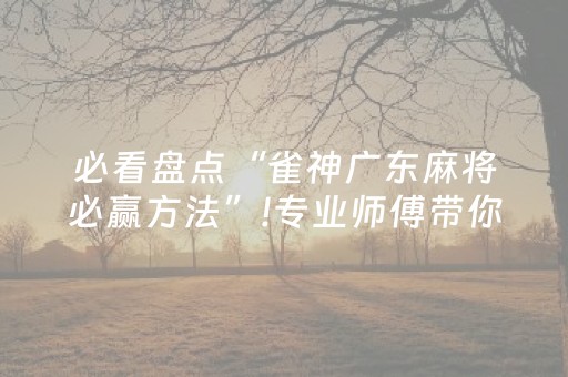 必看盘点“雀神广东麻将必赢方法”!专业师傅带你一起了解（详细教程）-知乎