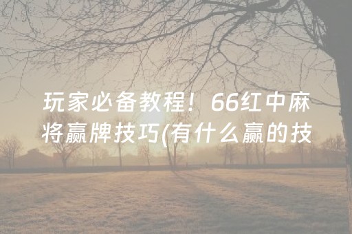 玩家必备教程！66红中麻将赢牌技巧(有什么赢的技巧)