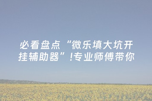 必看盘点“微乐填大坑开挂辅助器”!专业师傅带你一起了解（详细教程）-知乎