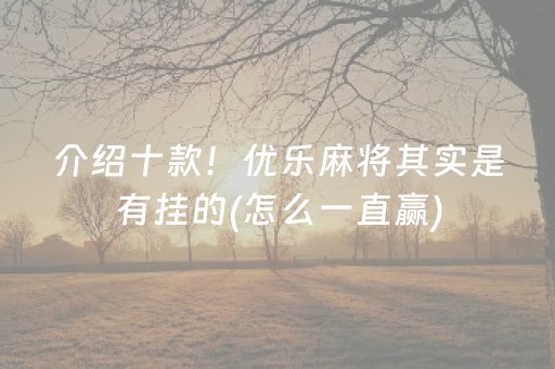 介绍十款！优乐麻将其实是有挂的(怎么一直赢)