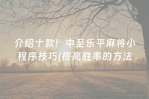 介绍十款！中至乐平麻将小程序技巧(提高胜率的方法)