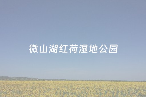 微山湖红荷湿地公园（滕州东站到微山湖红荷湿地公园）