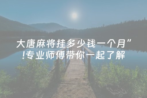 大唐麻将挂多少钱一个月”!专业师傅带你一起了解（详细教程）-知乎