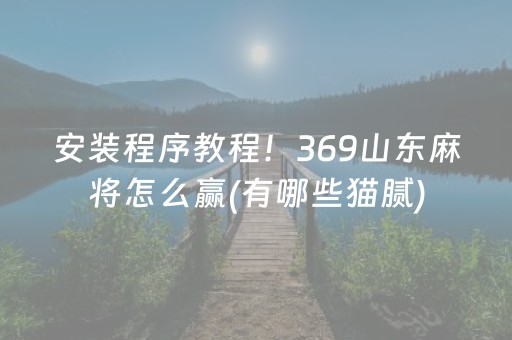 安装程序教程！369山东麻将怎么赢(有哪些猫腻)