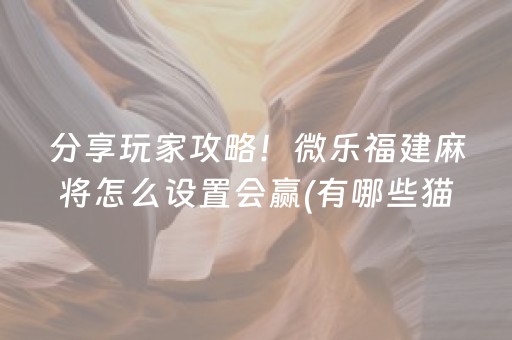 分享玩家攻略！微乐福建麻将怎么设置会赢(有哪些猫腻)