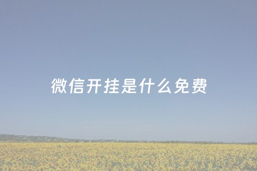 微信开挂是什么免费（微信开挂模式是什么）