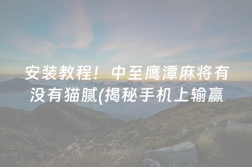 安装教程！中至鹰潭麻将有没有猫腻(揭秘手机上输赢技巧)